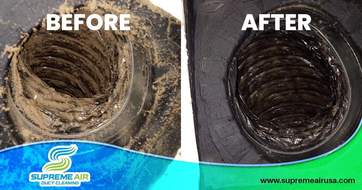 An image shows the before and after comparison once the ducts were cleaned for allergy relief in San Antonio.