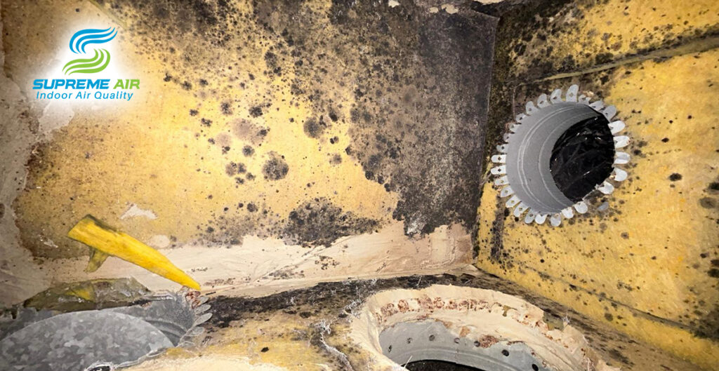 How to Know Your Air Ducts Need Professional Cleaning