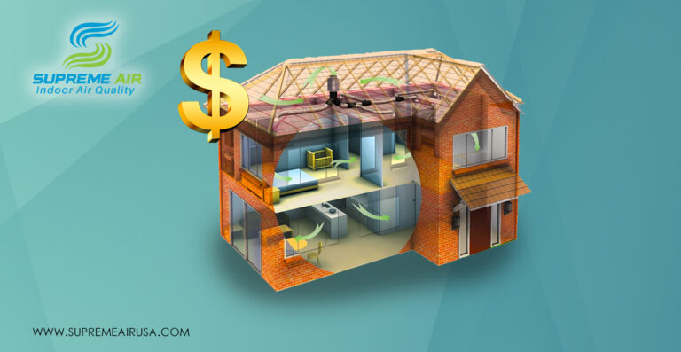 why invest in air purification